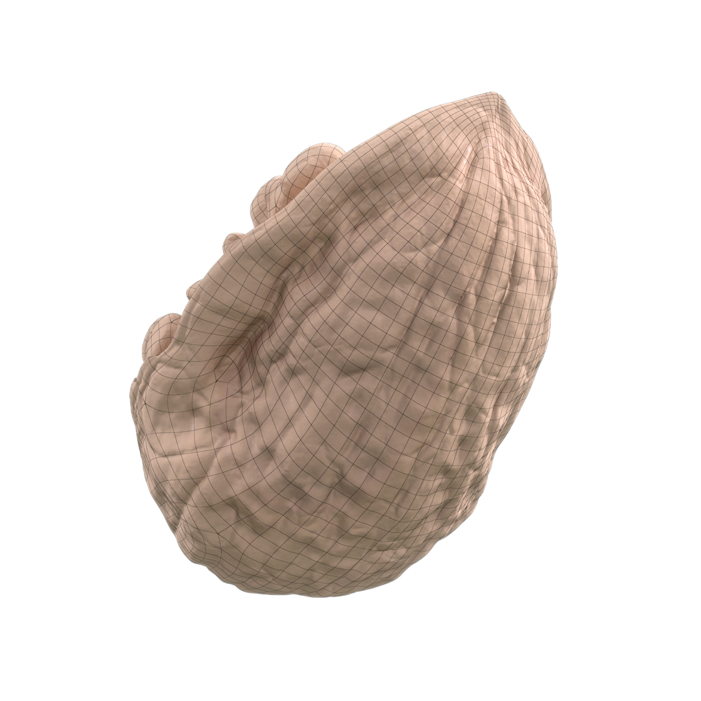 Veedpo Walnut 3D Scan 3D Model 3D Asset Zerolens Mustapha Redouane Djabri 3D Model 